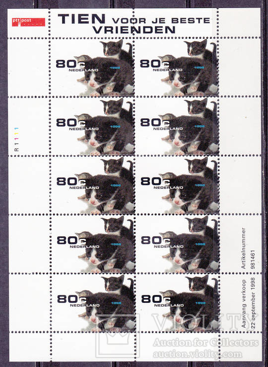 Нидерланды кошки, коты  MNH