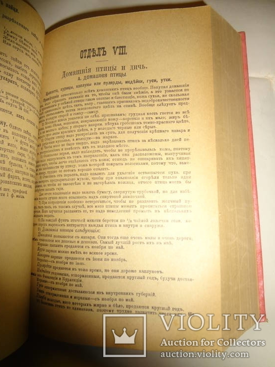 1917 Подарок Молодым Хозяйкам Самое Полное Издание, фото №11