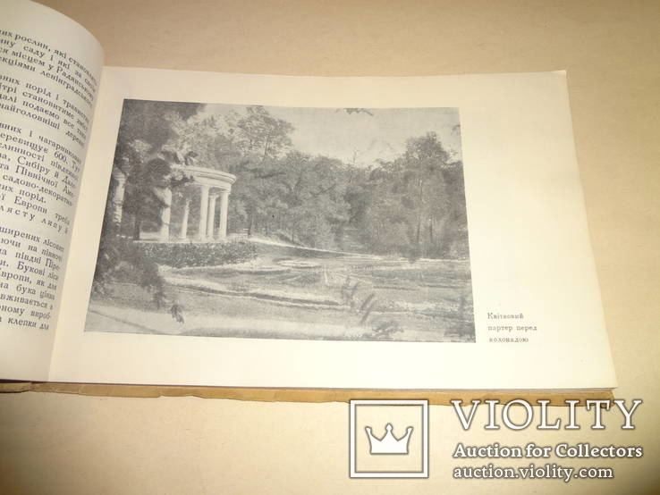 1938 Киевский Ботанический Сад Фомина, фото №5