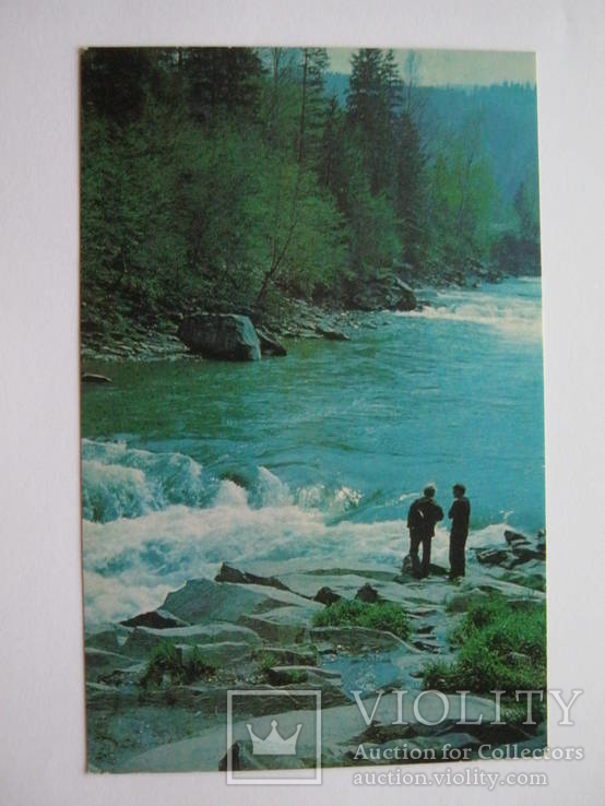 Карпати.На річці Прут.1978р., фото №2
