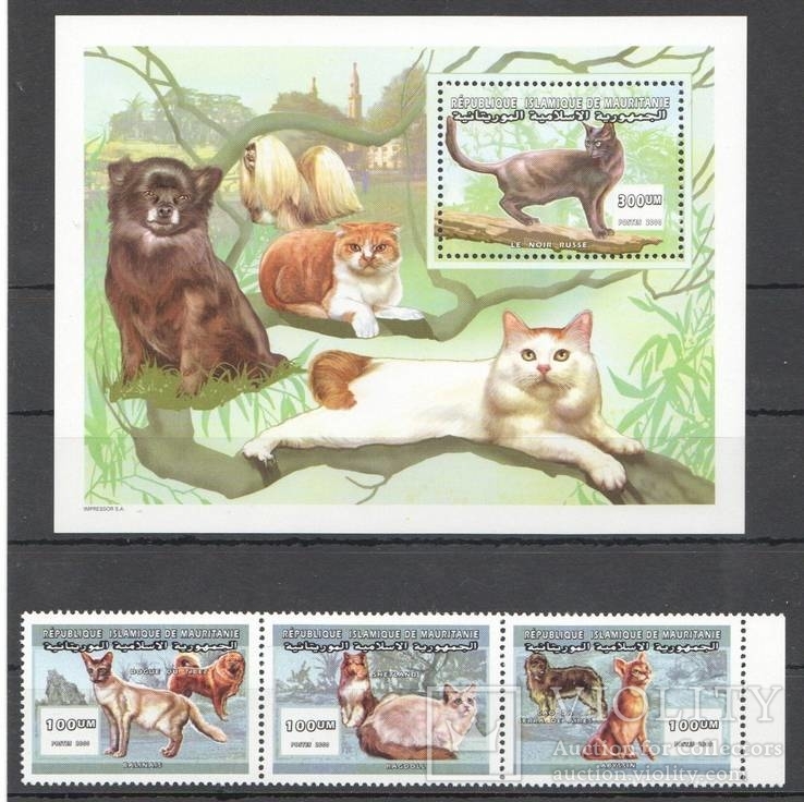 Мавритания кошки, коты MNH