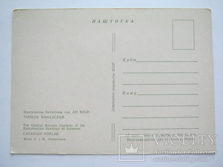 Алмазный фонд СССР.1987г., фото №3