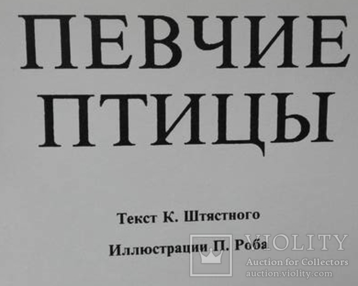 Певчие птицы, фото №2