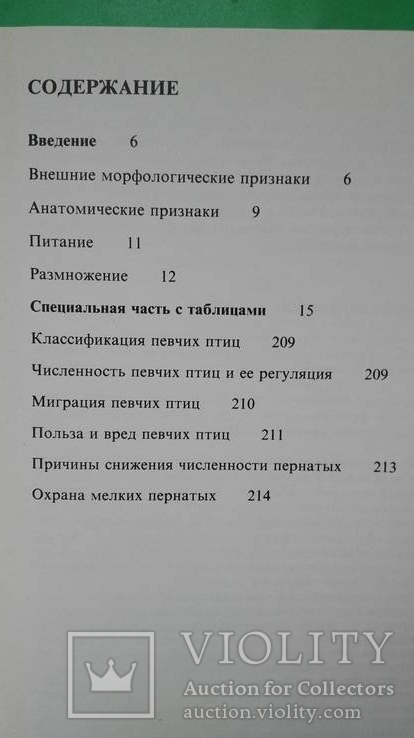 Певчие птицы, фото №4