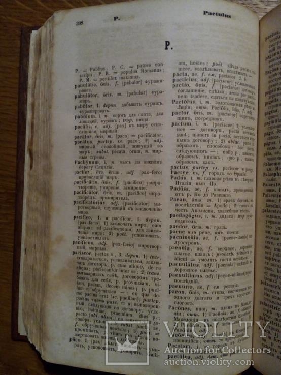 Шульц 1865г. латинско-русский словарь, фото №8