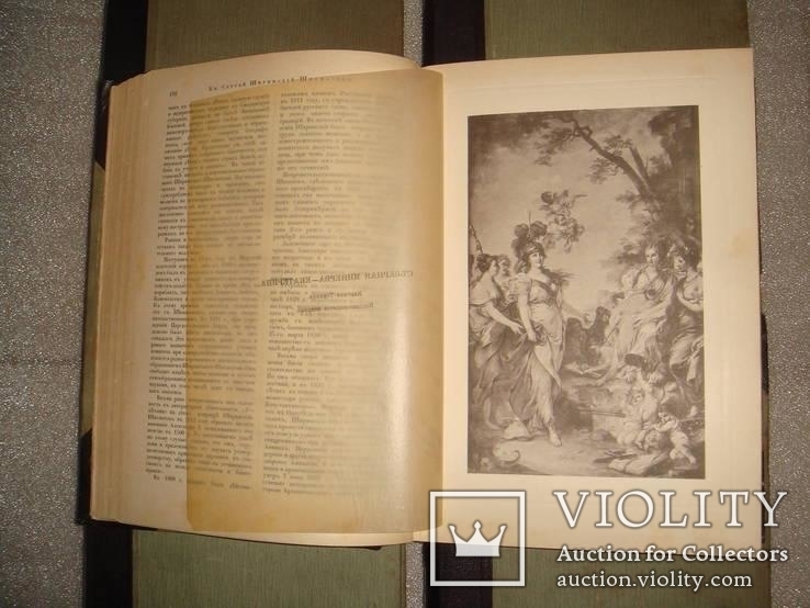 Пушкин, Библ. великих писателей,изд-во Брокгауз и Ефрон,СПБ 1907г 5т., фото №8