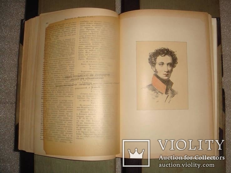 Пушкин, Библ. великих писателей,изд-во Брокгауз и Ефрон,СПБ 1907г 5т., фото №9
