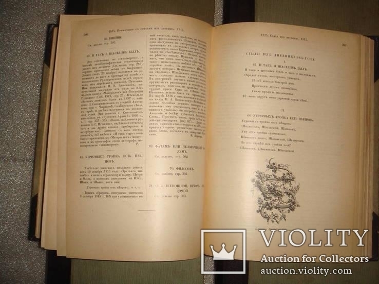 Пушкин, Библ. великих писателей,изд-во Брокгауз и Ефрон,СПБ 1907г 5т., фото №10