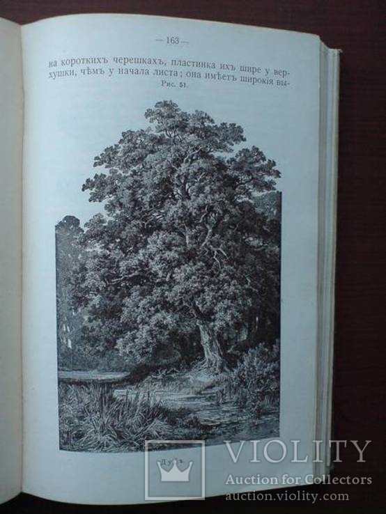 Природоведение Минералы 1913г. С цветными иллюстрациями., фото №13