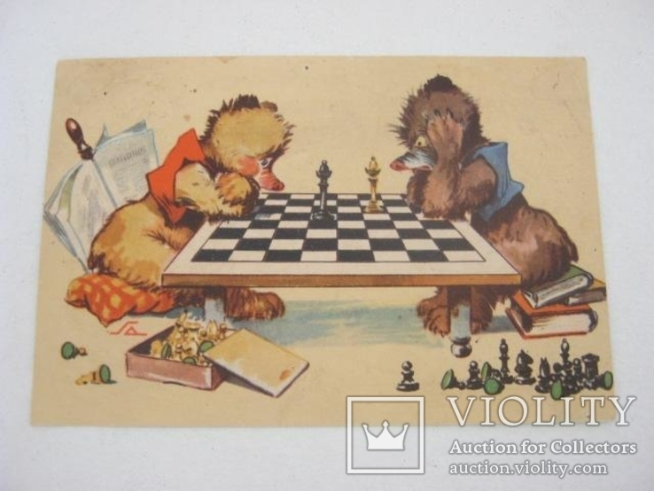 Медвежата-шахматисты, фото №2