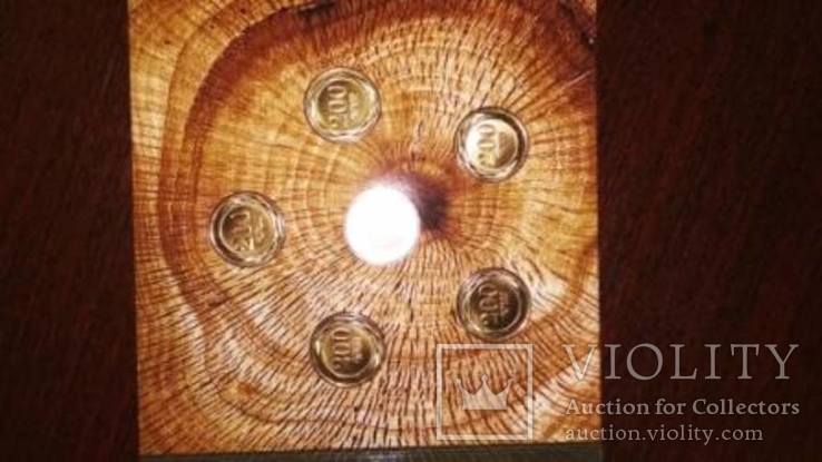 Набор памятных монет дикие деревья Армении 200 драм 2014, фото №4