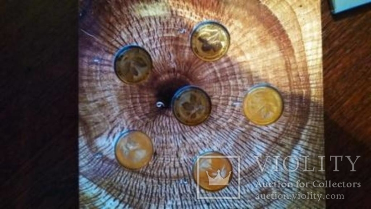 Набор памятных монет дикие деревья Армении 200 драм 2014, фото №8
