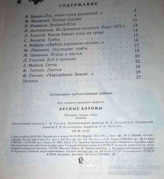 Лесные хоромы 1990 год, фото №5