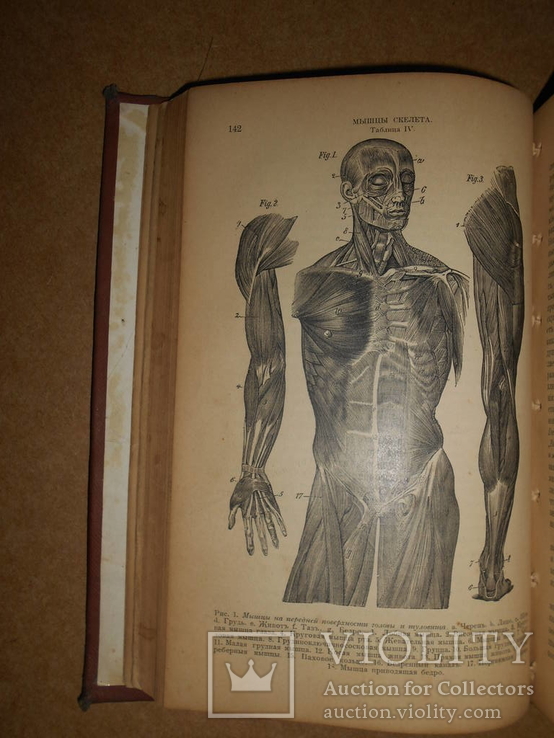Книга о Здоровом и Больном Человеке 1899 год, фото №5