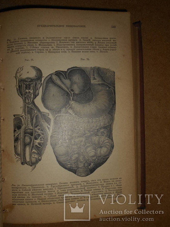 Книга о Здоровом и Больном Человеке 1899 год, фото №8