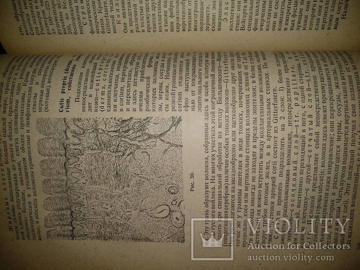 1938 год Учебник венерических и кожных болезней, фото №19