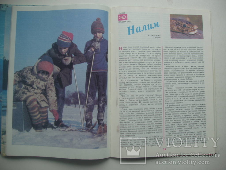 1990 Рыболов Журнал Комплект 6 номеров, фото №7