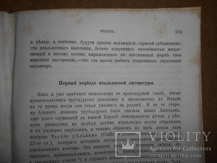 Всеобщая История Литературы Два тома 1879 год, фото №6