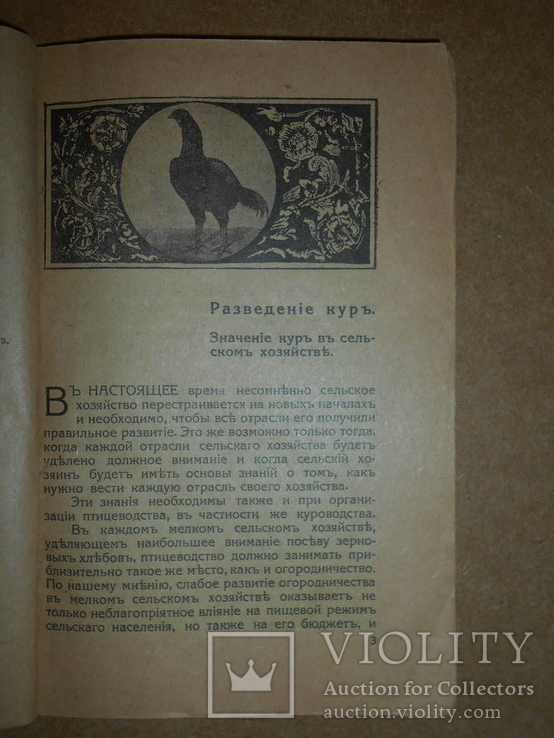 Куроводство 1919 год Харьков, фото №4