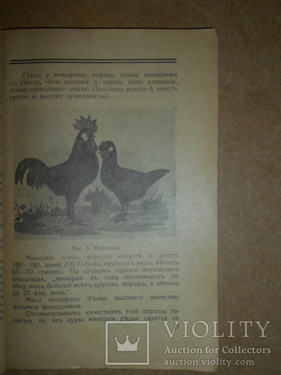 Куроводство 1919 год Харьков, фото №7