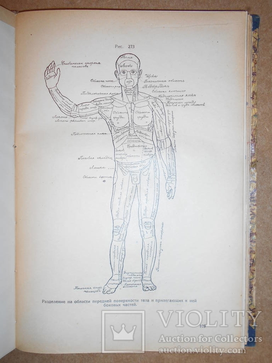 Медицина для Медиков и Юристов 1930 год Харьков, фото №8