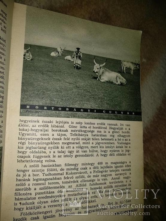 1939 год Земля и её жители, фото №10