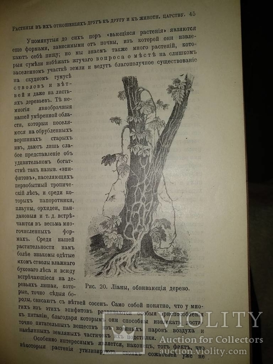 1909 год Биология, фото №7