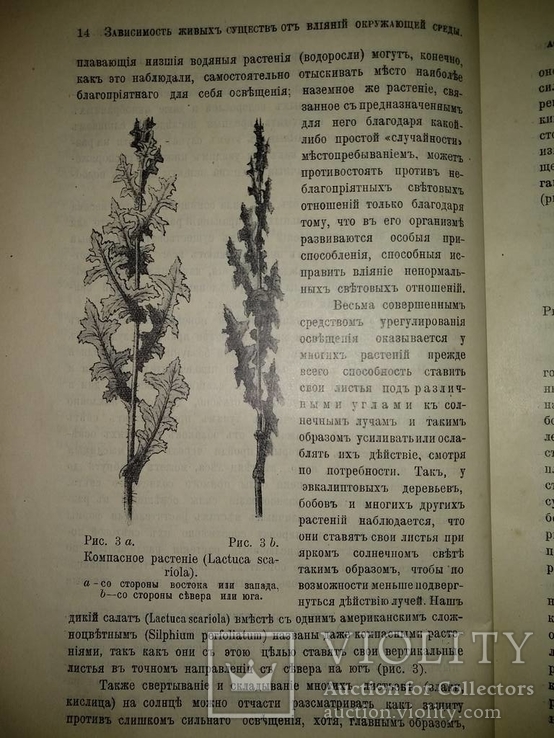 1909 год Биология, фото №10