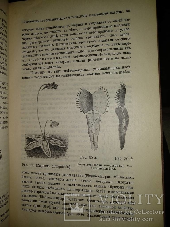 1909 год Биология, фото №17