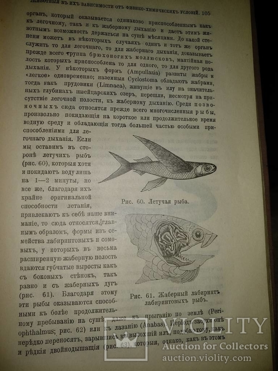 1909 год Биология, фото №24