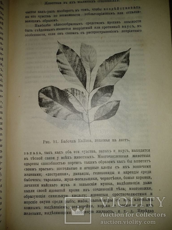 1909 год Биология, фото №27