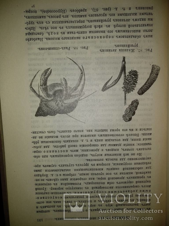 1909 год Биология, фото №28