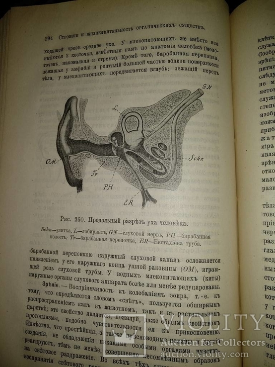 1909 год Биология, фото №33