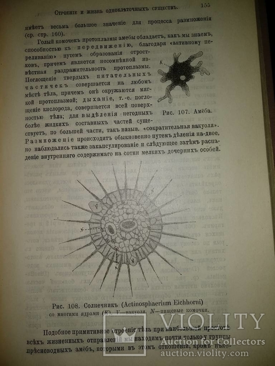 1909 год Биология, фото №35