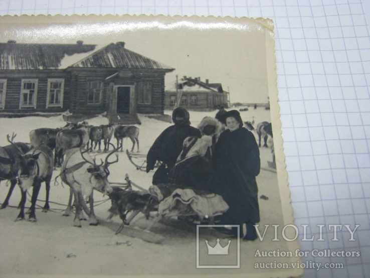 Фото 1957 Оленья упряжка. Чукчи. Север. Арктика, фото №5
