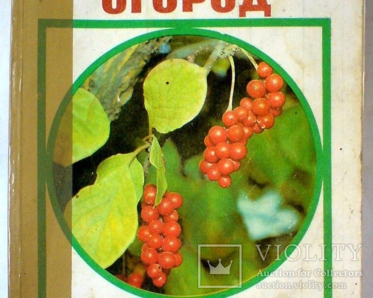 Сад, огород, усадьба. Энциклопедия для начинающих, фото №2