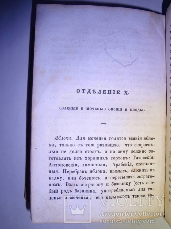 1844 Кулинария Русской Хозяйки, фото №7