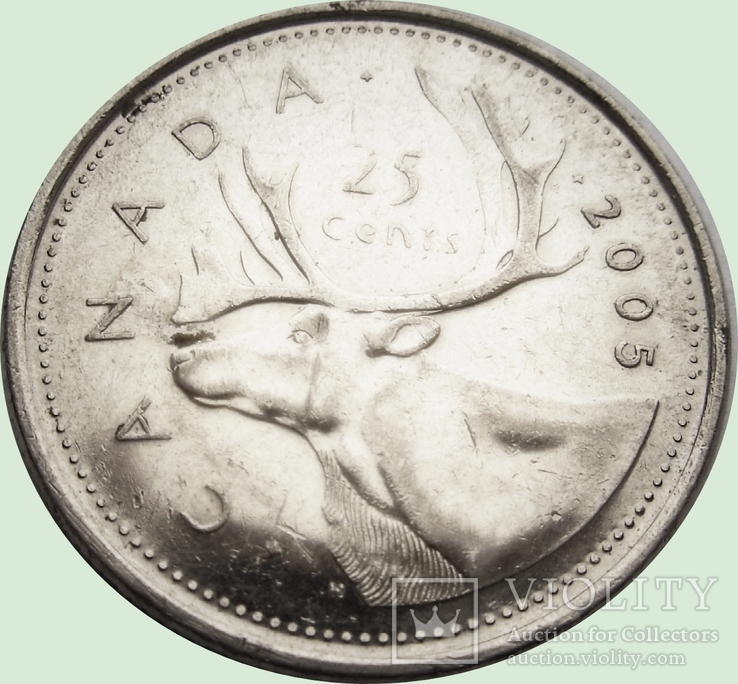 145.Канада 25 центов, 2005 год, Сохатый, фото №2