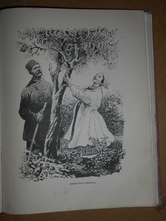 Украинские Народные  Сказки 1955 год, фото №13