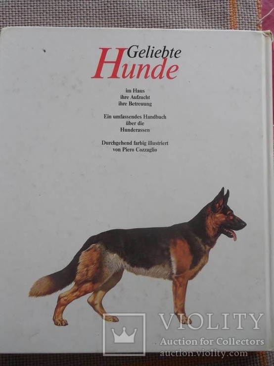 Geliebte Hunde Иллюстрированное издание Любимые Собаки на немецком, фото №8