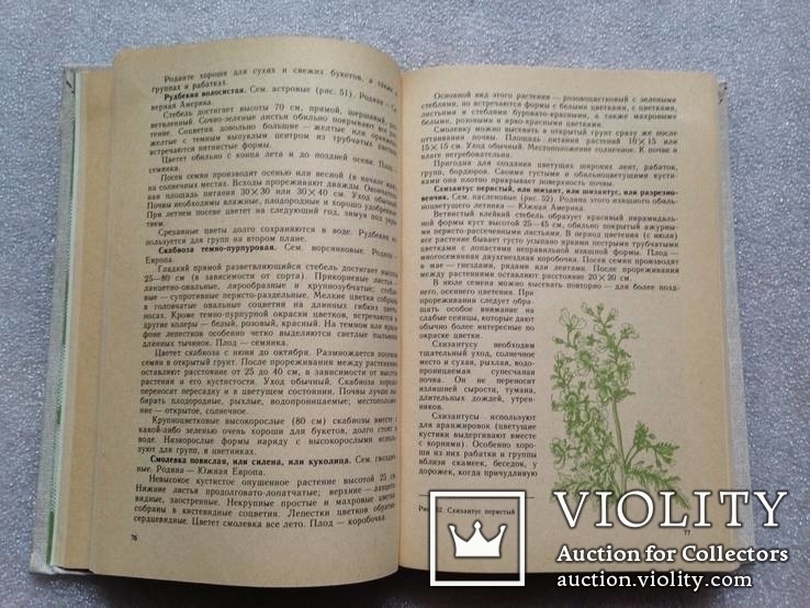 Г.К.Тавлинова. Приусадебное цветоводство. Л. 1989г. 334с., фото №8