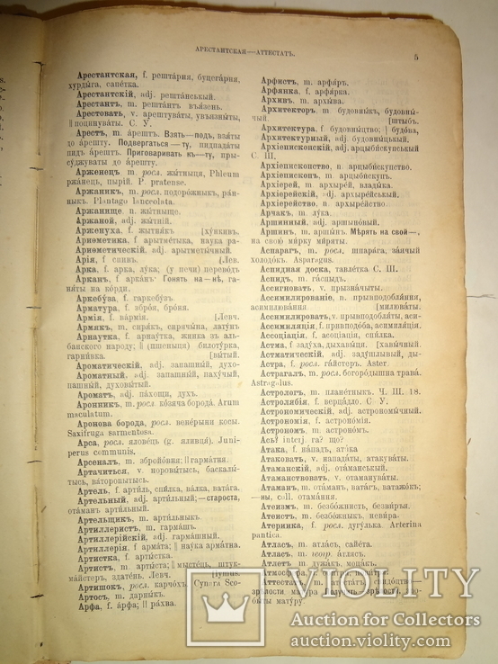 1897 Русско-Малороссийский Словарь Киевская Старина, фото №4