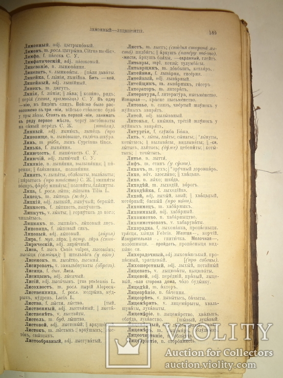 1897 Русско-Малороссийский Словарь Киевская Старина, фото №5