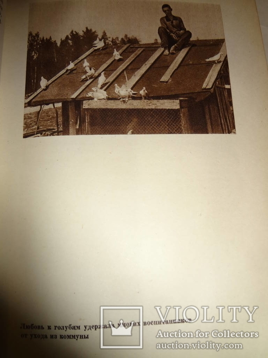 1936 Труд преступников в коммуне НКВД имени И. Ягоды, фото №12