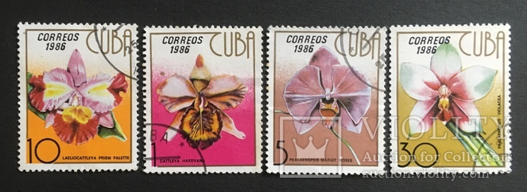 Флора, Растения, Куба 1986 г., гашенные