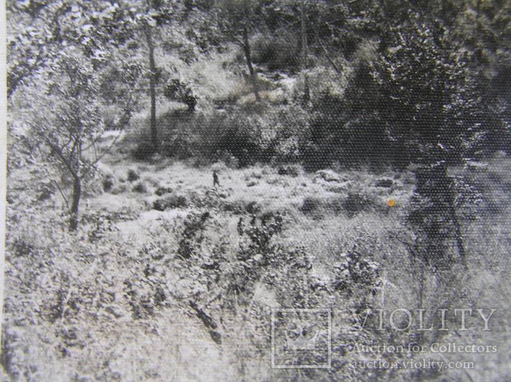 Фото "Чорні солдати в лісі", фото №4