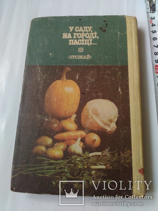 У саду,на городі,пасіці., фото №6