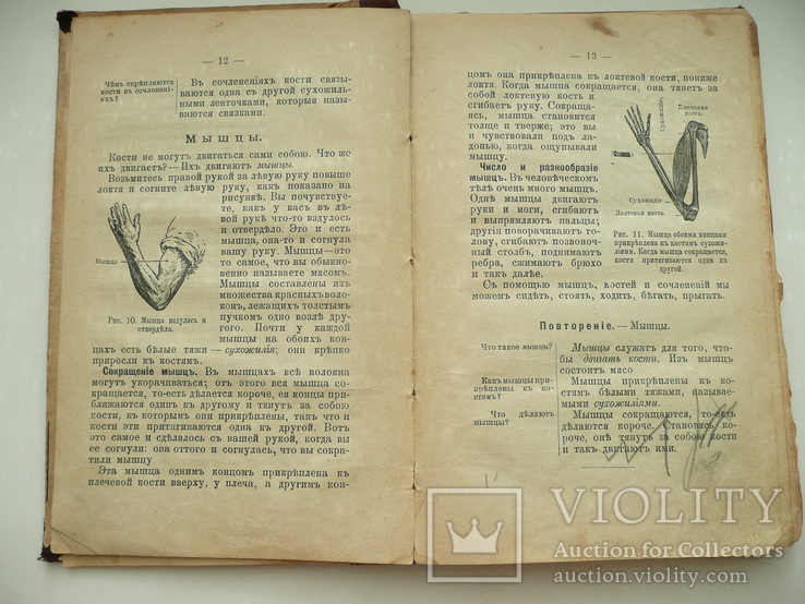 Книга Божий Мир в Беседах и картинках 1907г., фото №10