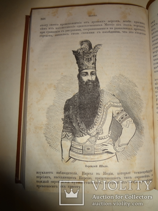 1865 Человек Таинственные Явления его природы, фото №12