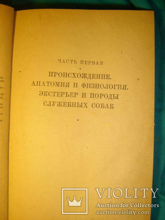 Служебная собака.1952г., фото №4